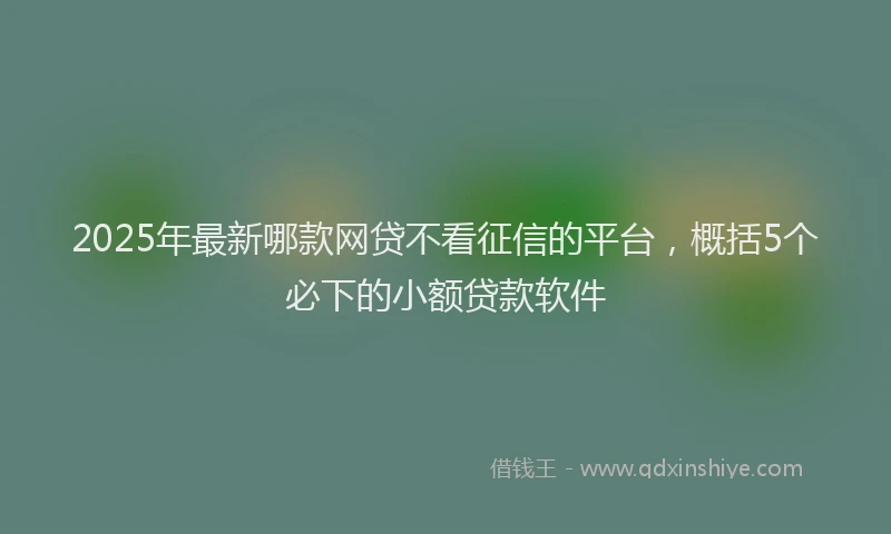2025年最新哪款网贷不看征信的平台，概括5个必下的小额贷款软件