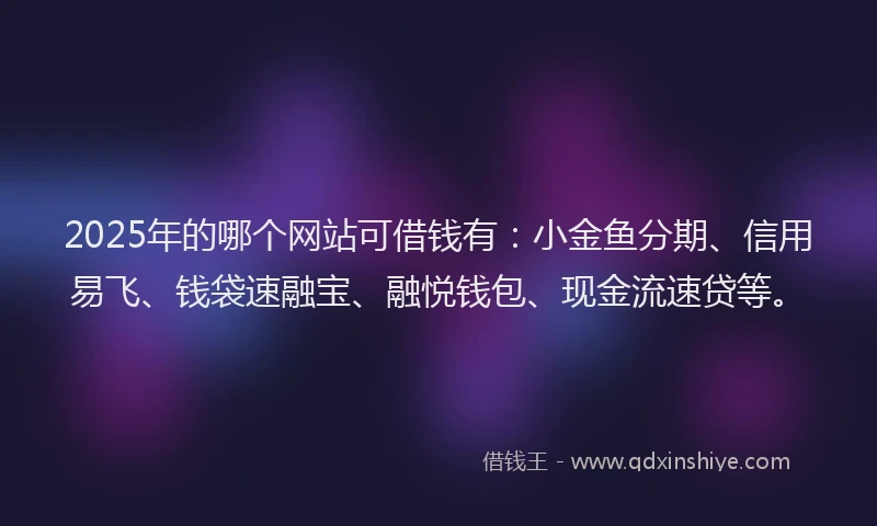2025年的哪个网站可借钱有：小金鱼分期、信用易飞、钱袋速融宝、融悦钱包、现金流速贷等。