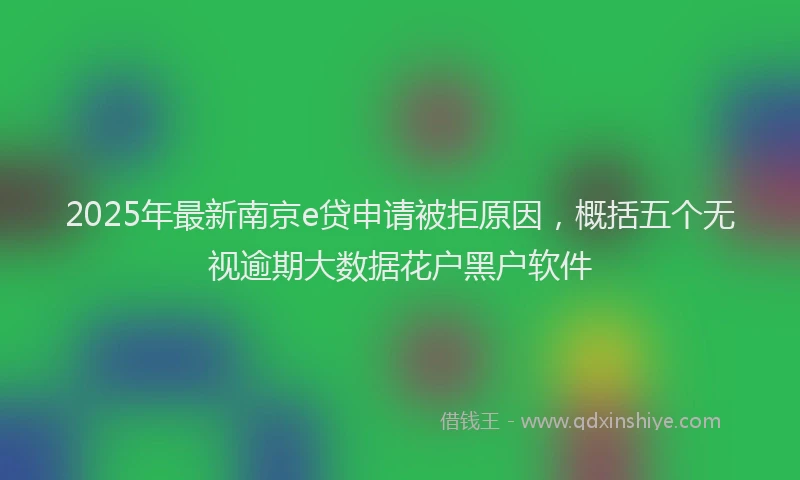 2025年最新南京e贷申请被拒原因，概括五个无视逾期大数据花户黑户软件