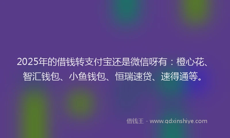 2025年的借钱转支付宝还是微信呀有：橙心花、智汇钱包、小鱼钱包、恒瑞速贷、速得通等。