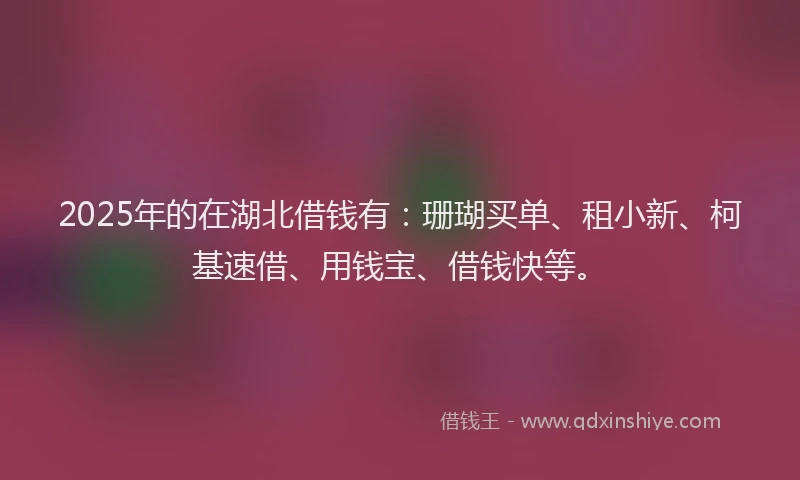 2025年的在湖北借钱有：珊瑚买单、租小新、柯基速借、用钱宝、借钱快等。