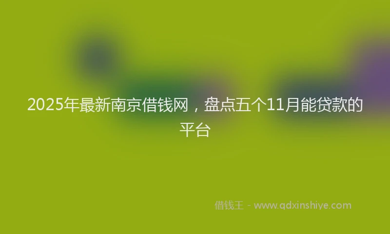 2025年最新南京借钱网，盘点五个11月能贷款的平台
