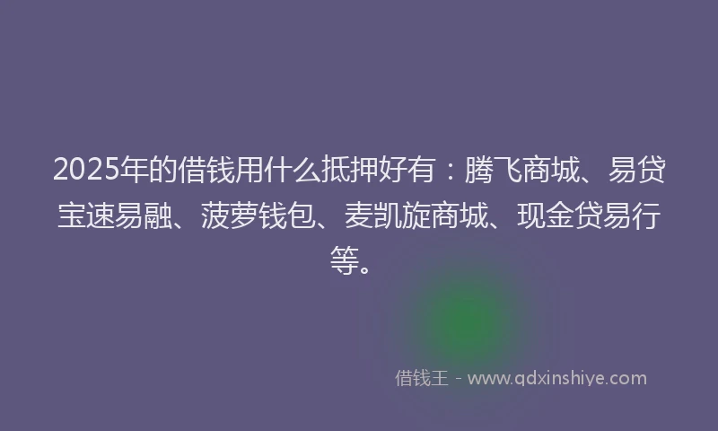 2025年的借钱用什么抵押好有：腾飞商城、易贷宝速易融、菠萝钱包、麦凯旋商城、现金贷易行等。