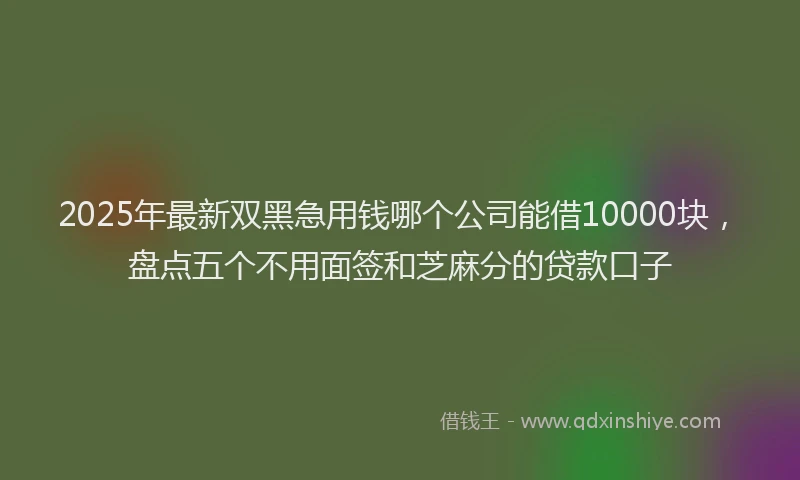 2025年最新双黑急用钱哪个公司能借10000块，盘点五个不用面签和芝麻分的贷款口子