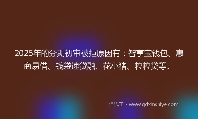 2025年的分期初审被拒原因有：智享宝钱包、惠商易借、钱袋速贷融、花小猪、粒粒贷等。