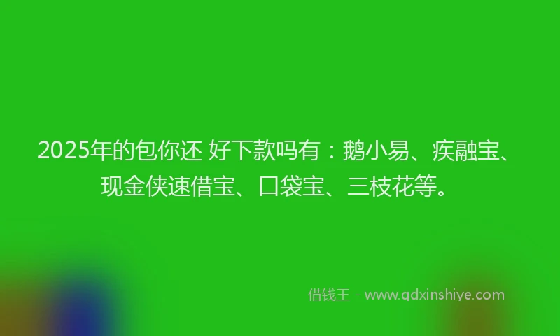 2025年的包你还 好下款吗有：鹅小易、疾融宝、现金侠速借宝、口袋宝、三枝花等。