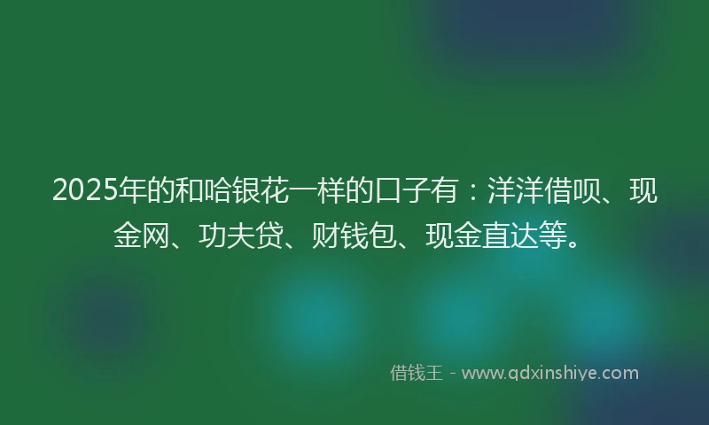 2025年的和哈银花一样的口子有：洋洋借呗、现金网、功夫贷、财钱包、现金直达等。