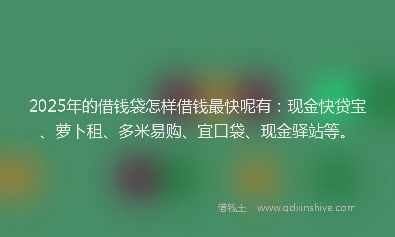 2025年的借钱袋怎样借钱最快呢有：现金快贷宝、萝卜租、多米易购、宜口袋、现金驿站等。