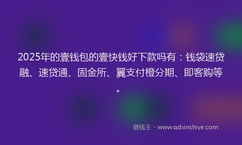 2025年的壹钱包的壹快钱好下款吗有：钱袋速贷融、速贷通、固金所、翼支付橙分期、即客购等。