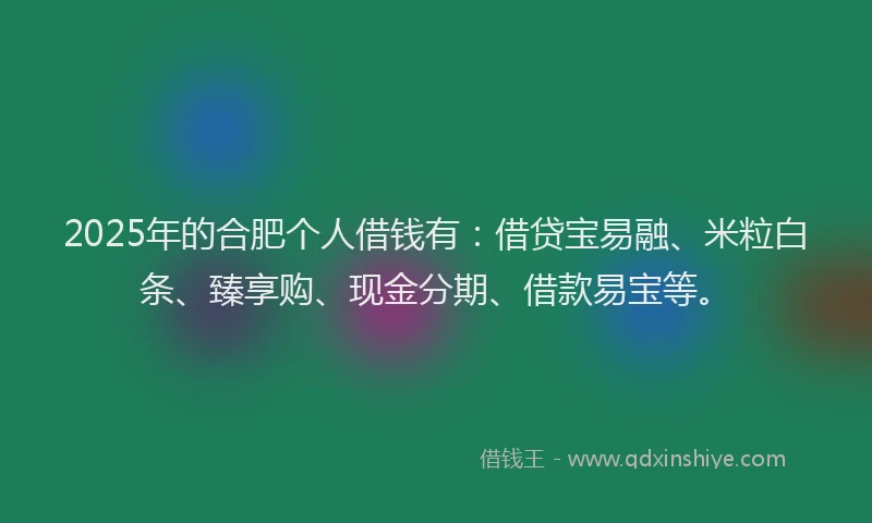 2025年的合肥个人借钱有：借贷宝易融、米粒白条、臻享购、现金分期、借款易宝等。