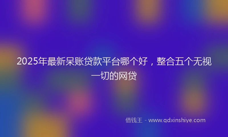 2025年最新呆账贷款平台哪个好，整合五个无视一切的网贷