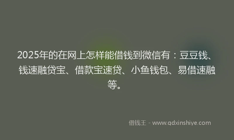 2025年的在网上怎样能借钱到微信有：豆豆钱、钱速融贷宝、借款宝速贷、小鱼钱包、易借速融等。