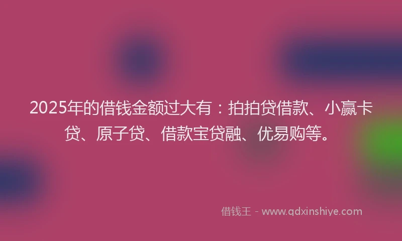 2025年的借钱金额过大有：拍拍贷借款、小赢卡贷、原子贷、借款宝贷融、优易购等。