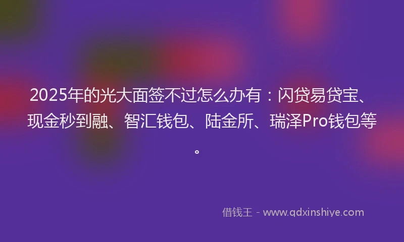 2025年的光大面签不过怎么办有：闪贷易贷宝、现金秒到融、智汇钱包、陆金所、瑞泽Pro钱包等。