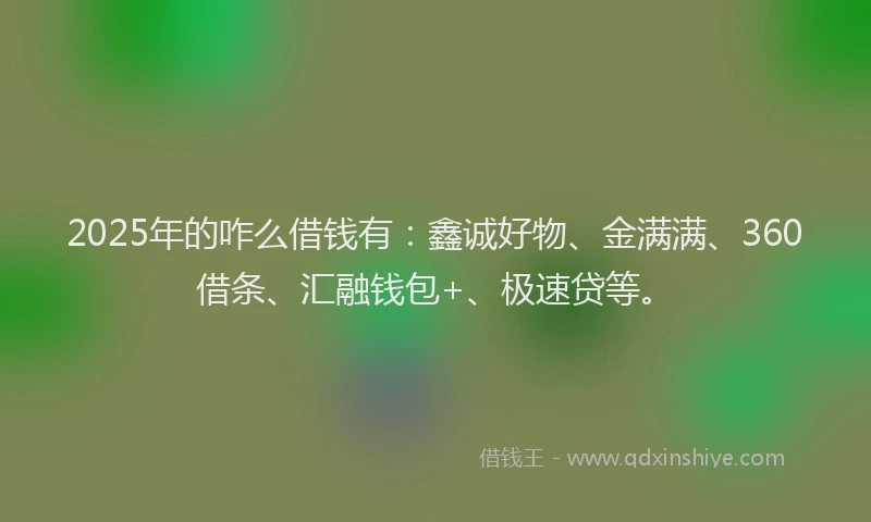 2025年的咋么借钱有：鑫诚好物、金满满、360借条、汇融钱包+、极速贷等。