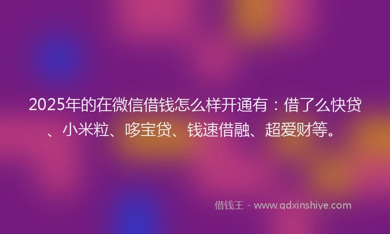 2025年的在微信借钱怎么样开通有：借了么快贷、小米粒、哆宝贷、钱速借融、超爱财等。