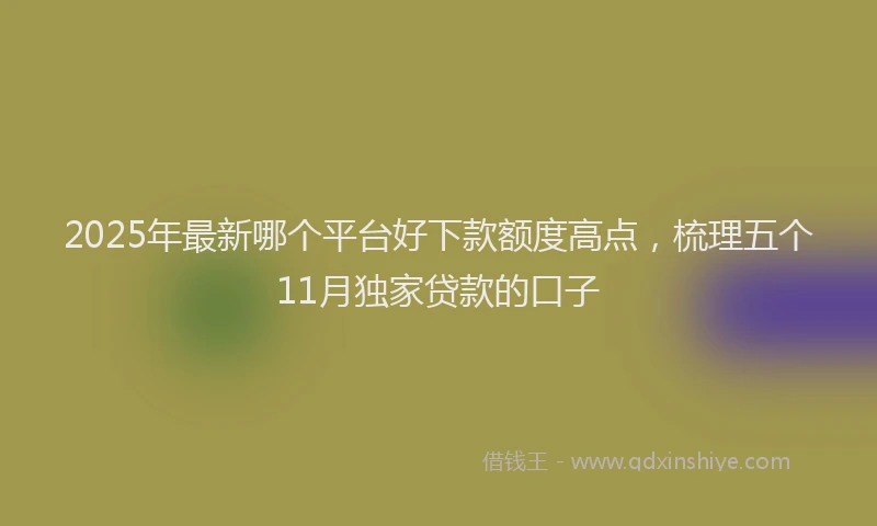 2025年最新哪个平台好下款额度高点，梳理五个11月独家贷款的口子