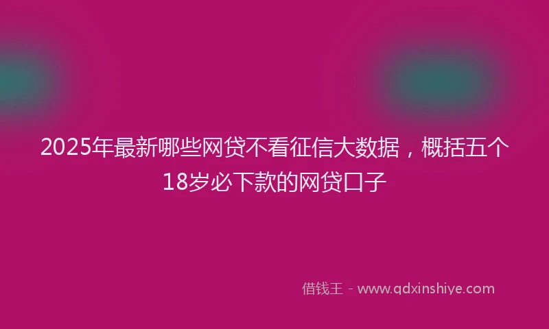 2025年最新哪些网贷不看征信大数据，概括五个18岁必下款的网贷口子