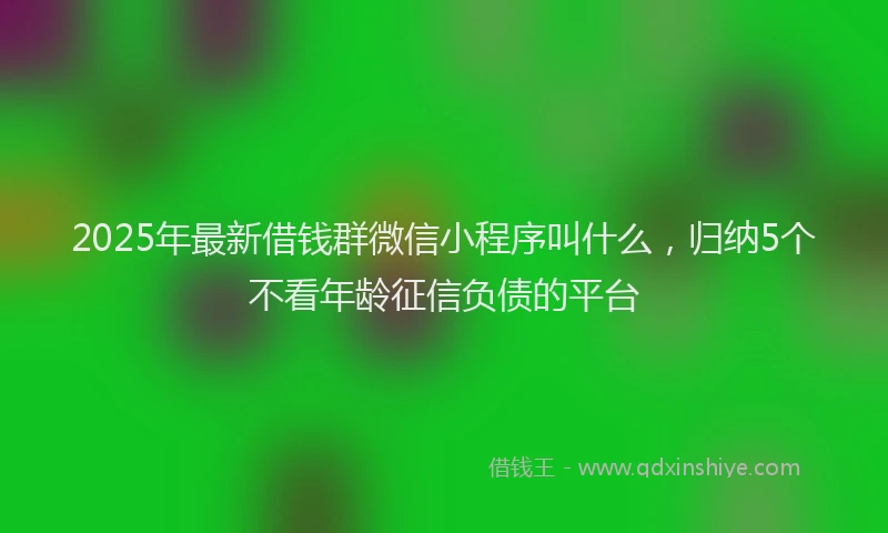 2025年最新借钱群微信小程序叫什么，归纳5个不看年龄征信负债的平台