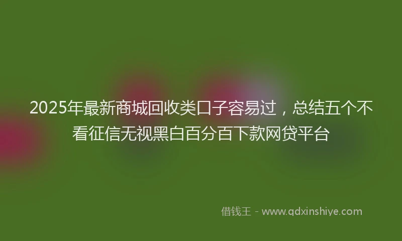 2025年最新商城回收类口子容易过，总结五个不看征信无视黑白百分百下款网贷平台