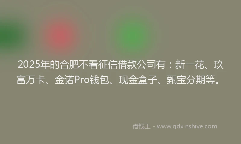 2025年的合肥不看征信借款公司有：新一花、玖富万卡、金诺Pro钱包、现金盒子、甄宝分期等。