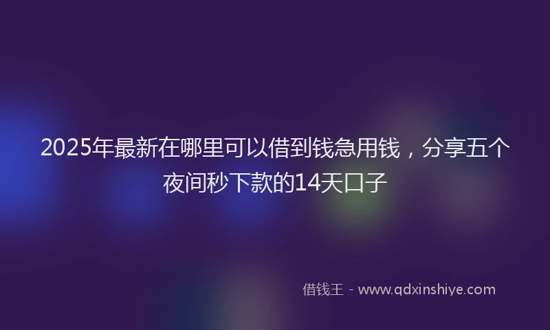 2025年最新在哪里可以借到钱急用钱，分享五个夜间秒下款的14天口子