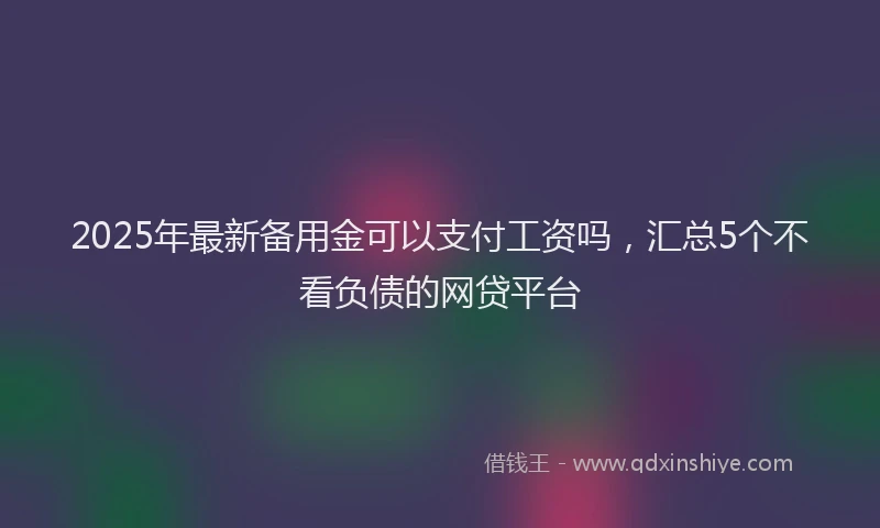 2025年最新备用金可以支付工资吗，汇总5个不看负债的网贷平台