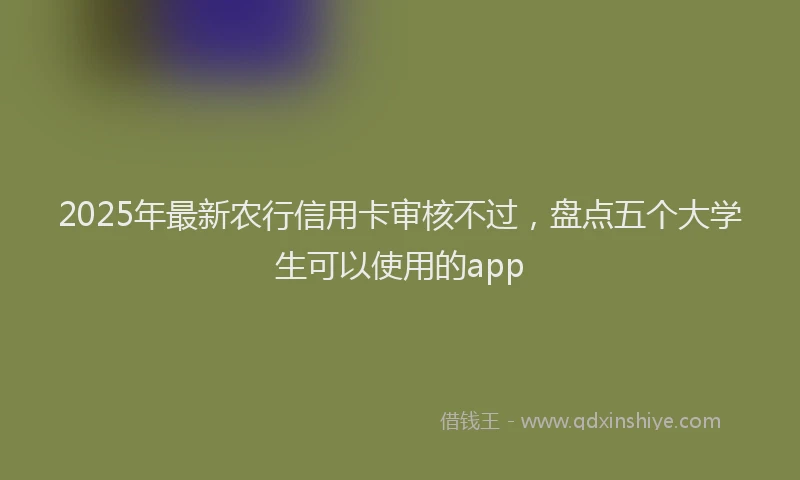 2025年最新农行信用卡审核不过，盘点五个大学生可以使用的app