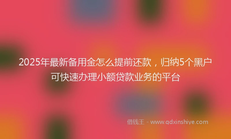 2025年最新备用金怎么提前还款，归纳5个黑户可快速办理小额贷款业务的平台