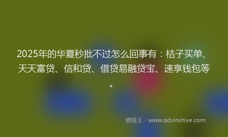 2025年的华夏秒批不过怎么回事有：桔子买单、天天富贷、信和贷、借贷易融贷宝、速享钱包等。