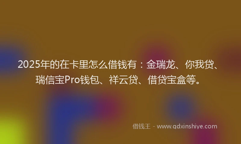 2025年的在卡里怎么借钱有：金瑞龙、你我贷、瑞信宝Pro钱包、祥云贷、借贷宝盒等。