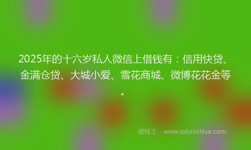 2025年的十六岁私人微信上借钱有：信用快贷、金满仓贷、大城小爱、雪花商城、微博花花金等。