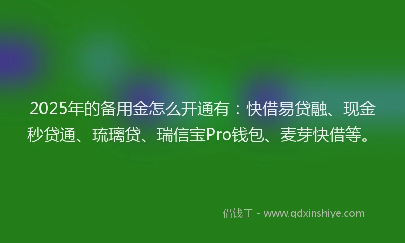 2025年的备用金怎么开通有：快借易贷融、现金秒贷通、琉璃贷、瑞信宝Pro钱包、麦芽快借等。
