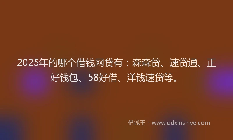 2025年的哪个借钱网贷有：森森贷、速贷通、正好钱包、58好借、洋钱速贷等。