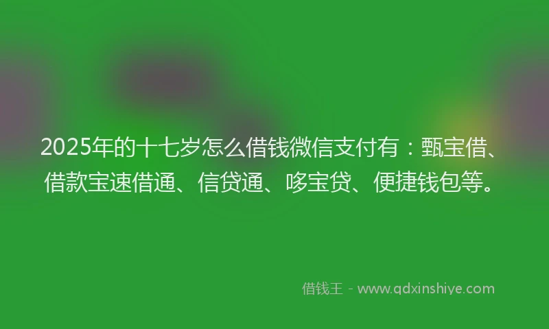 2025年的十七岁怎么借钱微信支付有：甄宝借、借款宝速借通、信贷通、哆宝贷、便捷钱包等。
