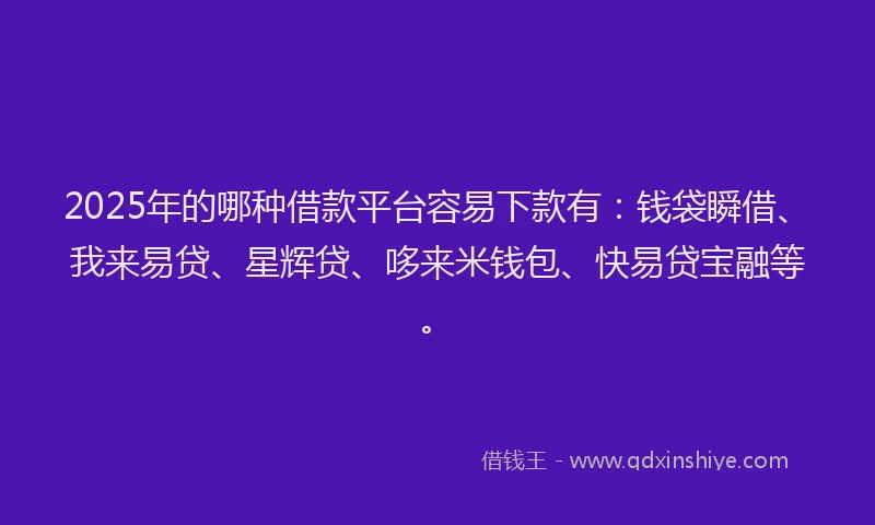 2025年的哪种借款平台容易下款有：钱袋瞬借、我来易贷、星辉贷、哆来米钱包、快易贷宝融等。