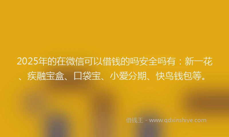 2025年的在微信可以借钱的吗安全吗有：新一花、疾融宝盒、口袋宝、小爱分期、快鸟钱包等。