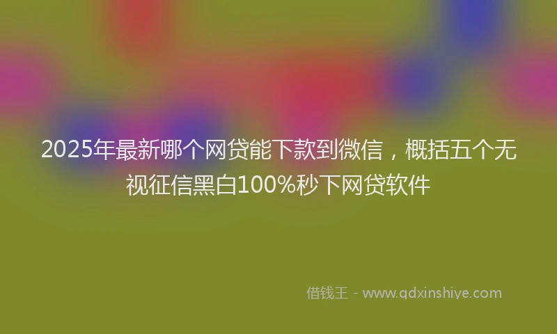 2025年最新哪个网贷能下款到微信，概括五个无视征信黑白100%秒下网贷软件