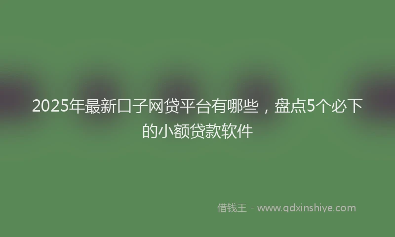 2025年最新口子网贷平台有哪些，盘点5个必下的小额贷款软件