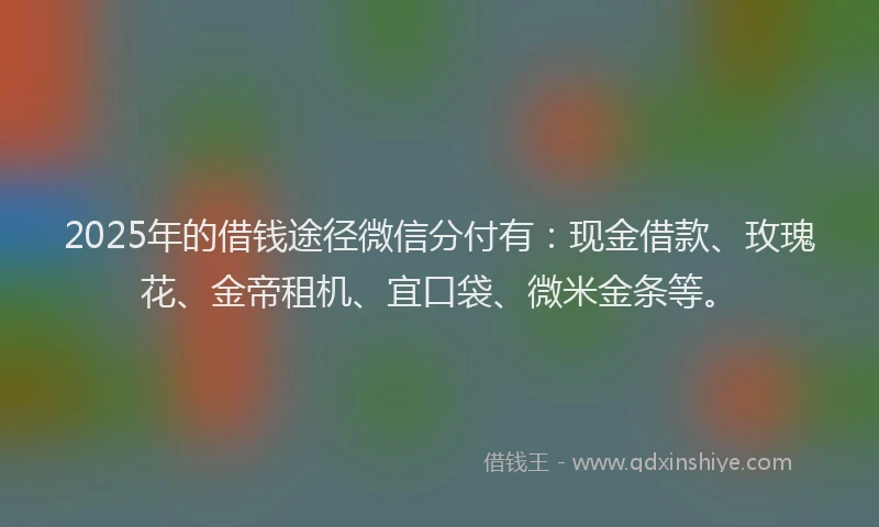 2025年的借钱途径微信分付有：现金借款、玫瑰花、金帝租机、宜口袋、微米金条等。