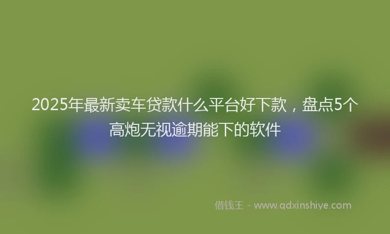 2025年最新卖车贷款什么平台好下款，盘点5个高炮无视逾期能下的软件