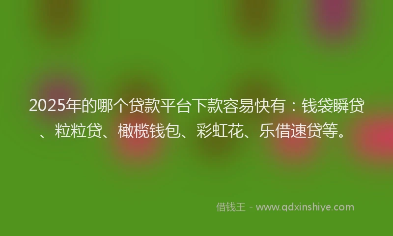 2025年的哪个贷款平台下款容易快有：钱袋瞬贷、粒粒贷、橄榄钱包、彩虹花、乐借速贷等。