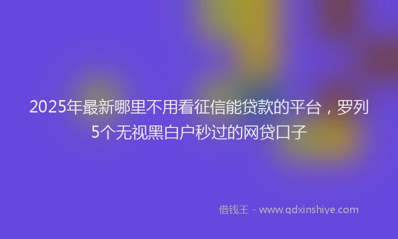 2025年最新哪里不用看征信能贷款的平台，罗列5个无视黑白户秒过的网贷口子