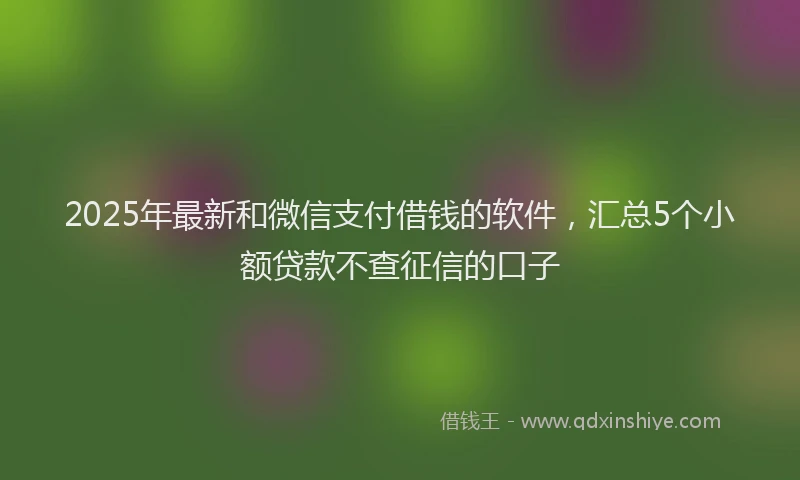 2025年最新和微信支付借钱的软件，汇总5个小额贷款不查征信的口子