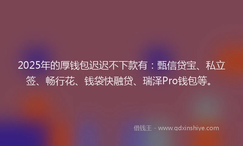 2025年的厚钱包迟迟不下款有：甄信贷宝、私立签、畅行花、钱袋快融贷、瑞泽Pro钱包等。