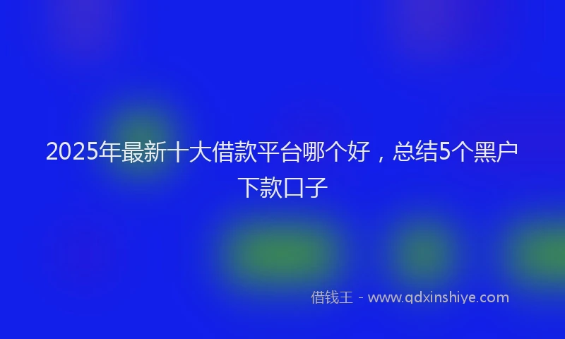 2025年最新十大借款平台哪个好，总结5个黑户下款口子