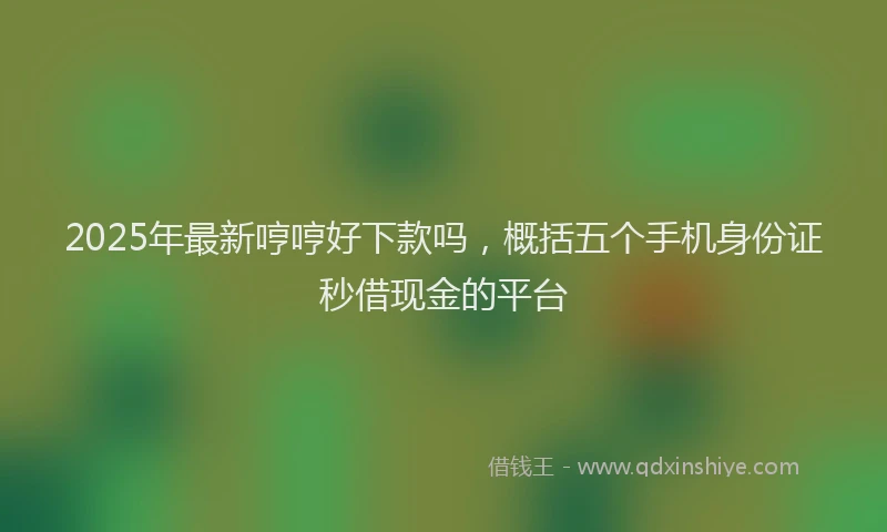 2025年最新哼哼好下款吗，概括五个手机身份证秒借现金的平台