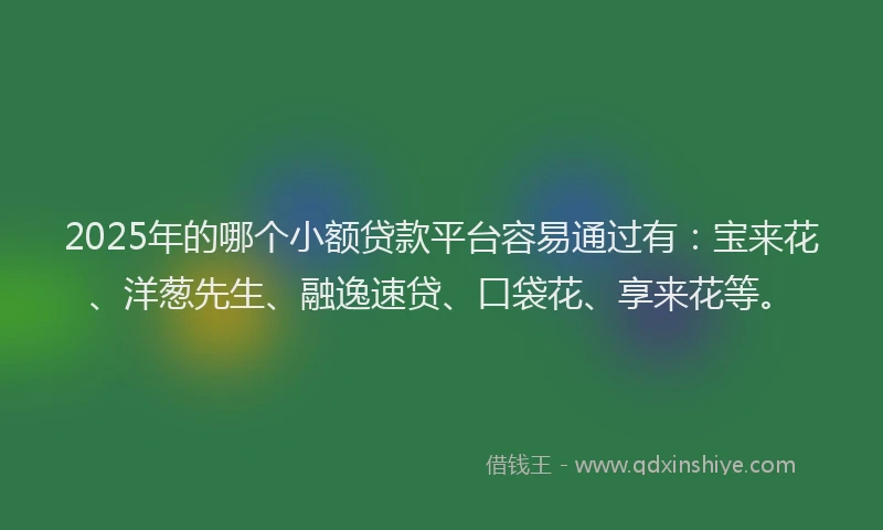 2025年的哪个小额贷款平台容易通过有：宝来花、洋葱先生、融逸速贷、口袋花、享来花等。