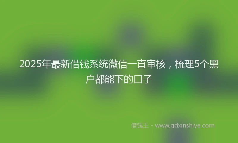 2025年最新借钱系统微信一直审核，梳理5个黑户都能下的口子