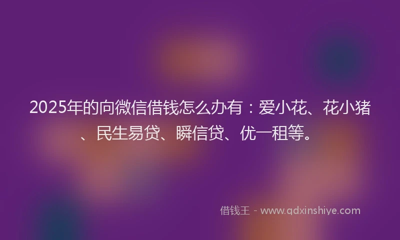 2025年的向微信借钱怎么办有：爱小花、花小猪、民生易贷、瞬信贷、优一租等。